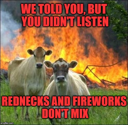 Rednecks and Fireworks | WE TOLD YOU, BUT YOU DIDN'T LISTEN; REDNECKS AND FIREWORKS DON'T MIX | image tagged in memes,rednecks,fireworks,explosives,cows,fire | made w/ Imgflip meme maker