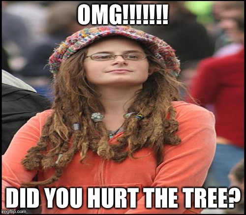 OMG!!!!!!! DID YOU HURT THE TREE? | made w/ Imgflip meme maker