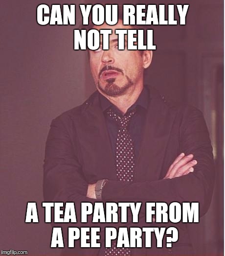 Face You Make Robert Downey Jr Meme | CAN YOU REALLY NOT TELL A TEA PARTY FROM A PEE PARTY? | image tagged in memes,face you make robert downey jr | made w/ Imgflip meme maker