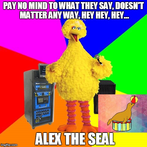 Wrong lyrics karaoke Big Bird sings the Go-Go's | PAY NO MIND TO WHAT THEY SAY, DOESN'T MATTER ANY WAY, HEY HEY, HEY... ALEX THE SEAL | image tagged in wrong lyrics karaoke big bird | made w/ Imgflip meme maker