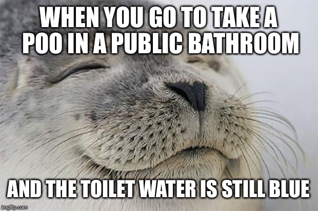 Satisfied Seal Meme | WHEN YOU GO TO TAKE A POO IN A PUBLIC BATHROOM; AND THE TOILET WATER IS STILL BLUE | image tagged in memes,satisfied seal,AdviceAnimals | made w/ Imgflip meme maker