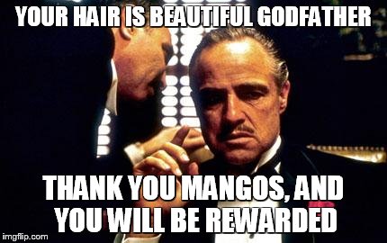 Godfather | YOUR HAIR IS BEAUTIFUL GODFATHER; THANK YOU MANGOS, AND YOU WILL BE REWARDED | image tagged in godfather | made w/ Imgflip meme maker
