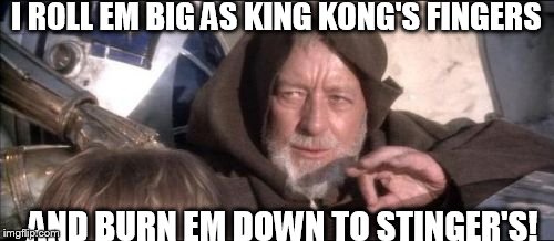 These Aren't The Droids You Were Looking For Meme | I ROLL EM BIG AS KING KONG'S FINGERS; AND BURN EM DOWN TO STINGER'S! | image tagged in memes,these arent the droids you were looking for | made w/ Imgflip meme maker