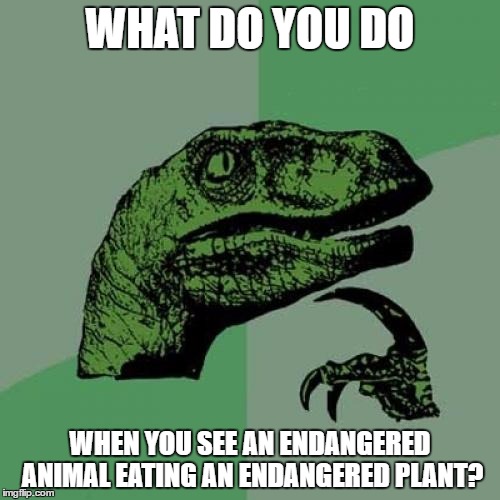 Philosoraptor | WHAT DO YOU DO; WHEN YOU SEE AN ENDANGERED ANIMAL EATING AN ENDANGERED PLANT? | image tagged in memes,philosoraptor | made w/ Imgflip meme maker