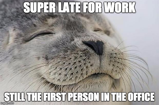 Satisfied Seal Meme | SUPER LATE FOR WORK; STILL THE FIRST PERSON IN THE OFFICE | image tagged in memes,satisfied seal,AdviceAnimals | made w/ Imgflip meme maker