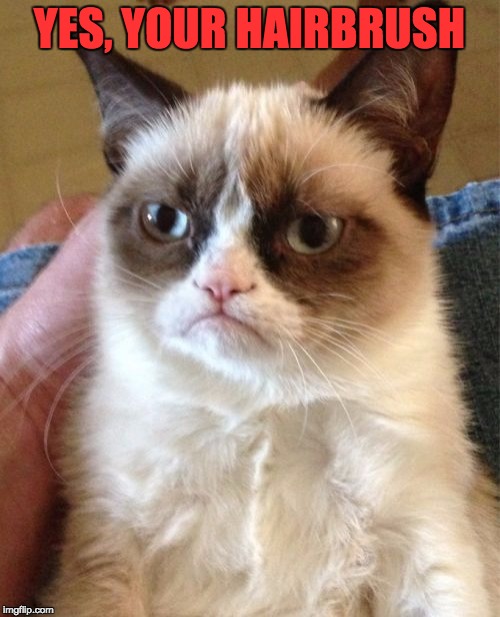 Grumpy Cat Meme | YES, YOUR HAIRBRUSH | image tagged in memes,grumpy cat | made w/ Imgflip meme maker