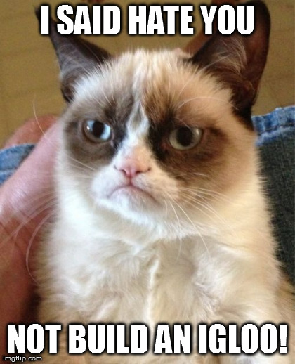 Grumpy Cat Meme | I SAID HATE YOU NOT BUILD AN IGLOO! | image tagged in memes,grumpy cat | made w/ Imgflip meme maker