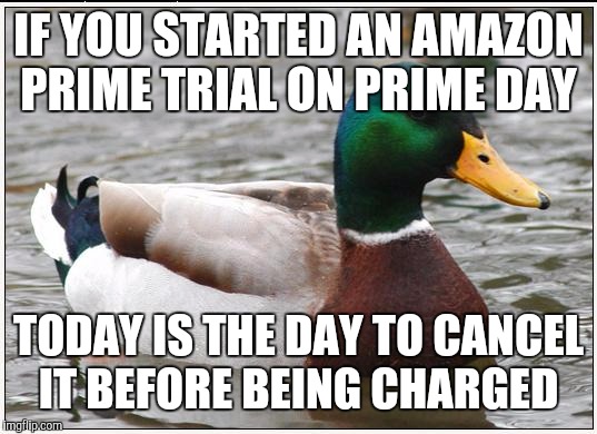 Actual Advice Mallard Meme | IF YOU STARTED AN AMAZON PRIME TRIAL ON PRIME DAY; TODAY IS THE DAY TO CANCEL IT BEFORE BEING CHARGED | image tagged in memes,actual advice mallard,AdviceAnimals | made w/ Imgflip meme maker