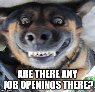 ARE THERE ANY JOB OPENINGS THERE? | made w/ Imgflip meme maker