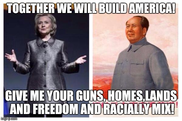 TOGETHER WE WILL BUILD AMERICA! GIVE ME YOUR GUNS, HOMES,LANDS AND FREEDOM AND RACIALLY MIX! | image tagged in politics | made w/ Imgflip meme maker