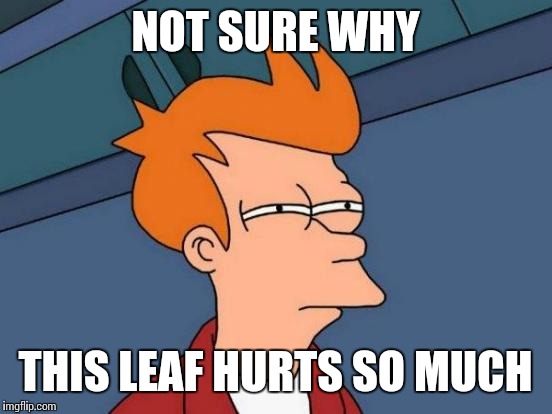 Futurama Fry Meme | NOT SURE WHY THIS LEAF HURTS SO MUCH | image tagged in memes,futurama fry | made w/ Imgflip meme maker