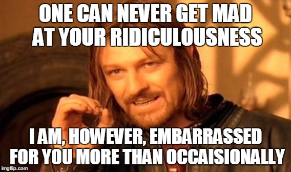 One Does Not Simply | ONE CAN NEVER GET MAD AT YOUR RIDICULOUSNESS; I AM, HOWEVER, EMBARRASSED FOR YOU MORE THAN OCCAISIONALLY | image tagged in memes,one does not simply | made w/ Imgflip meme maker
