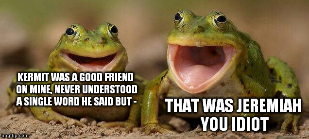 KERMIT WAS A GOOD FRIEND ON MINE, NEVER UNDERSTOOD A SINGLE WORD HE SAID BUT - THAT WAS JEREMIAH YOU IDIOT | made w/ Imgflip meme maker