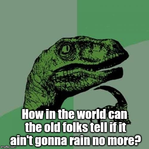 Philosoraptor | How in the world can the old folks tell if it ain't gonna rain no more? | image tagged in memes,philosoraptor | made w/ Imgflip meme maker