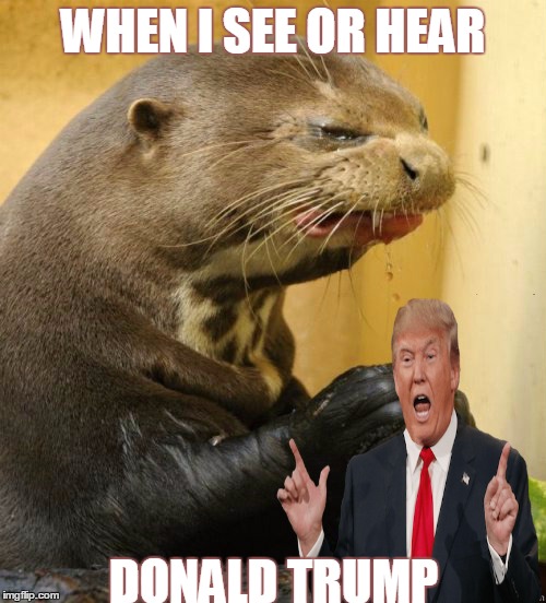 When I see or hear Donald Trump | WHEN I SEE OR HEAR; DONALD TRUMP | image tagged in donald trump,disgusted otter | made w/ Imgflip meme maker