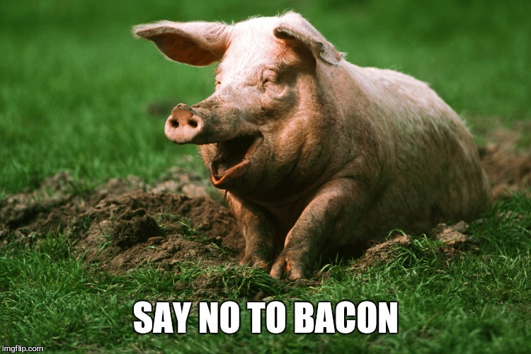 SAY NO TO BACON | made w/ Imgflip meme maker