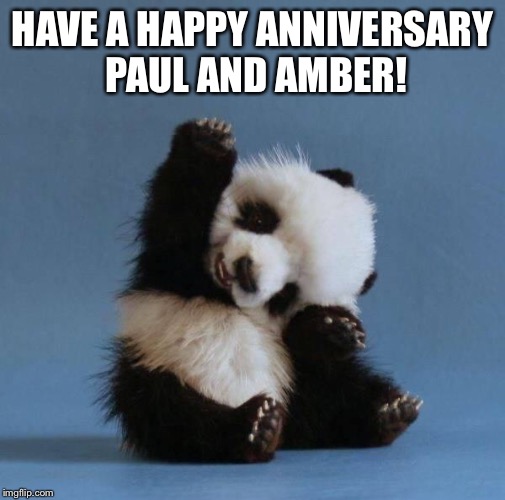Panda | HAVE A HAPPY ANNIVERSARY PAUL AND AMBER! | image tagged in panda | made w/ Imgflip meme maker