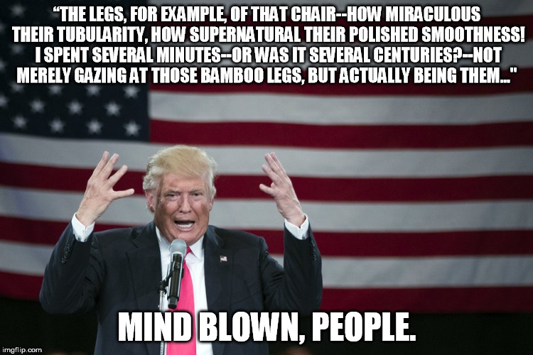 Mind Blown People | “THE LEGS, FOR EXAMPLE, OF THAT CHAIR--HOW MIRACULOUS THEIR TUBULARITY, HOW SUPERNATURAL THEIR POLISHED SMOOTHNESS! I SPENT SEVERAL MINUTES--OR WAS IT SEVERAL CENTURIES?--NOT MERELY GAZING AT THOSE BAMBOO LEGS, BUT ACTUALLY BEING THEM..."; MIND BLOWN, PEOPLE. | image tagged in trump,mind blown | made w/ Imgflip meme maker