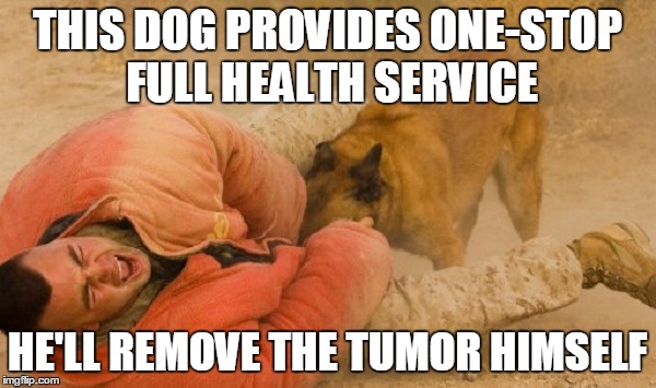 THIS DOG PROVIDES ONE-STOP FULL HEALTH SERVICE HE'LL REMOVE THE TUMOR HIMSELF | made w/ Imgflip meme maker