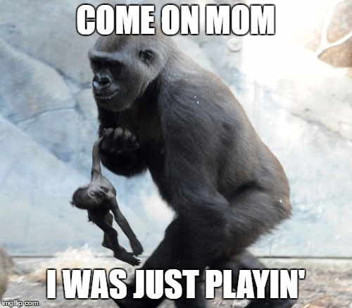 COME ON MOM I WAS JUST PLAYIN' | made w/ Imgflip meme maker