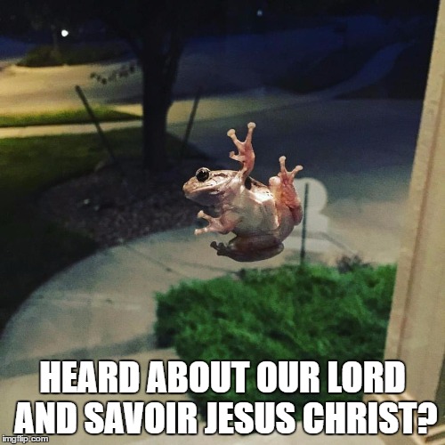 Frog Jesus Christ | HEARD ABOUT OUR LORD AND SAVOIR JESUS CHRIST? | image tagged in frog,jesus | made w/ Imgflip meme maker