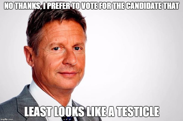 NO THANKS, I PREFER TO VOTE FOR THE CANDIDATE THAT; LEAST LOOKS LIKE A TESTICLE | image tagged in gary johnson feelthejohnson,gary johnson,libertarians,politics,republican,democrat | made w/ Imgflip meme maker