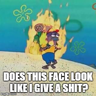 spongebob on fire | DOES THIS FACE LOOK LIKE I GIVE A SHIT? | image tagged in spongebob on fire | made w/ Imgflip meme maker