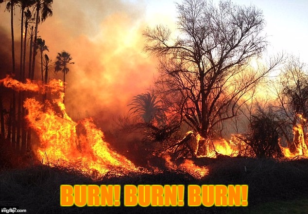 Flame War Flames Devastation | BURN! BURN! BURN! | image tagged in flame war flames devastation | made w/ Imgflip meme maker
