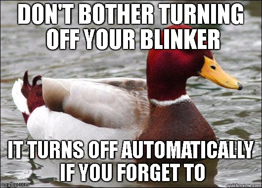 make actual bad advice mallard | DON'T BOTHER TURNING OFF YOUR BLINKER; IT TURNS OFF AUTOMATICALLY IF YOU FORGET TO | image tagged in make actual bad advice mallard | made w/ Imgflip meme maker