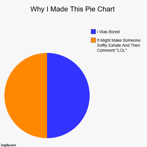Why I Made This Pie Chart | It Might Make Someone Softly Exhale And Then Comment "LOL", I Was Bored | image tagged in funny,pie charts | made w/ Imgflip chart maker