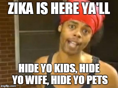 Hide Yo Kids Hide Yo Wife | ZIKA IS HERE YA'LL; HIDE YO KIDS, HIDE YO WIFE, HIDE YO PETS | image tagged in memes,hide yo kids hide yo wife | made w/ Imgflip meme maker