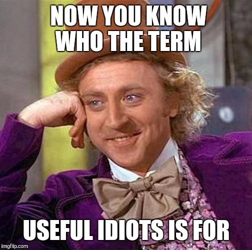 Creepy Condescending Wonka Meme | NOW YOU KNOW WHO THE TERM USEFUL IDIOTS IS FOR | image tagged in memes,creepy condescending wonka | made w/ Imgflip meme maker