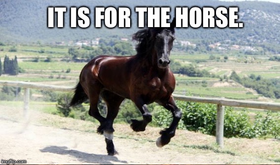 IT IS FOR THE HORSE. | made w/ Imgflip meme maker
