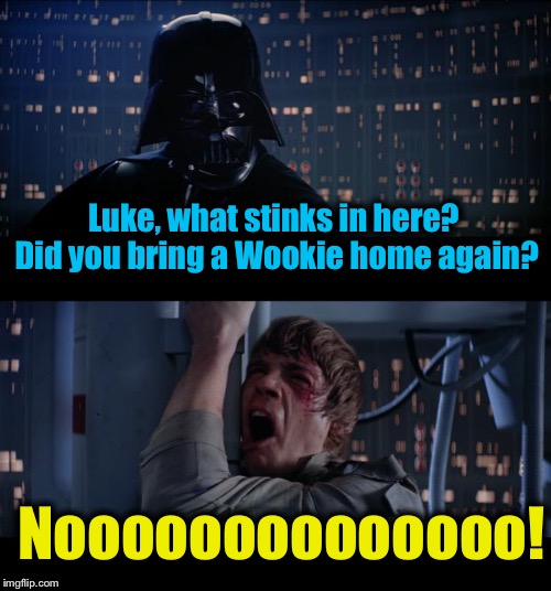 Star Wars Stinky Wookie No | Luke, what stinks in here? Did you bring a Wookie home again? Noooooooooooooo! | image tagged in memes,star wars no,funny,evilmandoevil | made w/ Imgflip meme maker