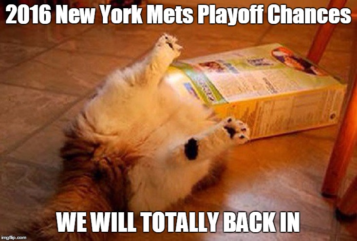 catboxcat | 2016 New York Mets Playoff Chances; WE WILL TOTALLY BACK IN | image tagged in catboxcat | made w/ Imgflip meme maker