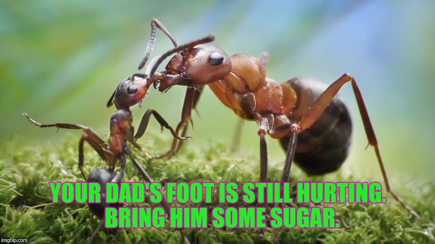 YOUR DAD'S FOOT IS STILL HURTING.  BRING HIM SOME SUGAR. | made w/ Imgflip meme maker