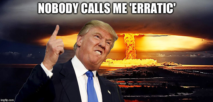 Trump actually asked "If we have nuclear weapons, why can't we use them?" | NOBODY CALLS ME 'ERRATIC' | image tagged in trump nuclear,war,donald trump,trump,disaster | made w/ Imgflip meme maker