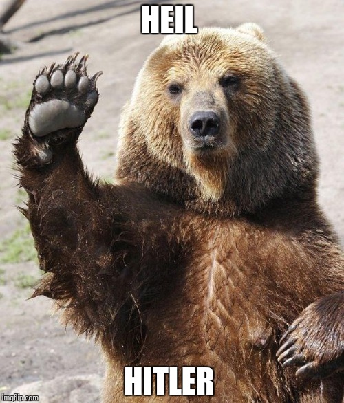 Hello bear | HEIL; HITLER | image tagged in hello bear | made w/ Imgflip meme maker