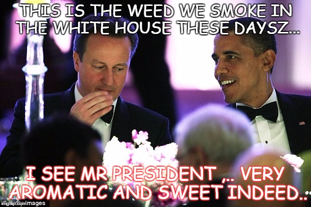 political Weed testing | THIS IS THE WEED WE SMOKE IN THE WHITE HOUSE THESE DAYSZ... I SEE MR PRESIDENT ,.. VERY AROMATIC AND SWEET INDEED.. | image tagged in cameron,obama,smoking,weed,herbsz,white house | made w/ Imgflip meme maker