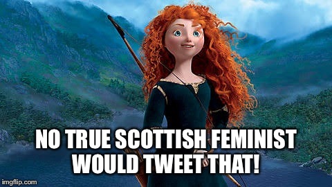 Disney brave | NO TRUE SCOTTISH FEMINIST WOULD TWEET THAT! | image tagged in disney brave | made w/ Imgflip meme maker