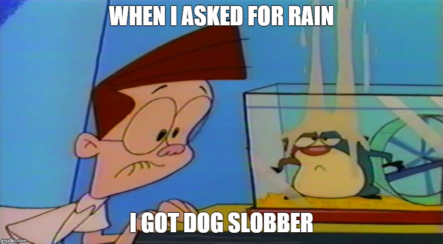When I Asked For Rain... | WHEN I ASKED FOR RAIN; I GOT DOG SLOBBER | image tagged in rain | made w/ Imgflip meme maker
