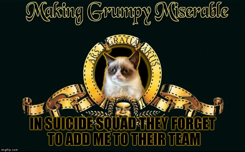 mgm grumpy | IN SUICIDE SQUAD THEY FORGET TO ADD ME TO THEIR TEAM | image tagged in mgm grumpy | made w/ Imgflip meme maker
