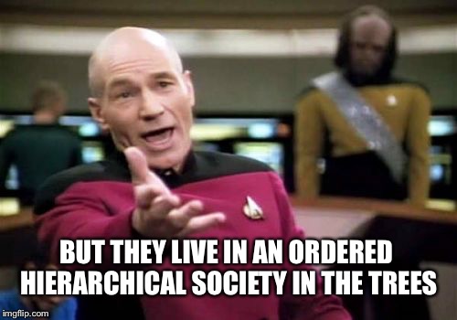 Picard Wtf Meme | BUT THEY LIVE IN AN ORDERED HIERARCHICAL SOCIETY IN THE TREES | image tagged in memes,picard wtf | made w/ Imgflip meme maker