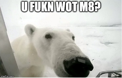 U FUKN WOT M8? | made w/ Imgflip meme maker