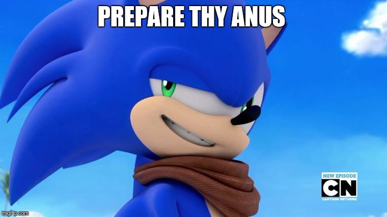 Sonic Meme | PREPARE THY ANUS | image tagged in sonic meme | made w/ Imgflip meme maker