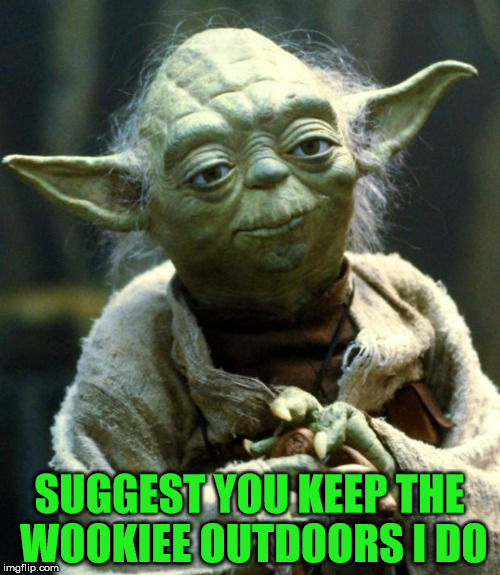 Star Wars Yoda Meme | SUGGEST YOU KEEP THE WOOKIEE OUTDOORS I DO | image tagged in memes,star wars yoda | made w/ Imgflip meme maker