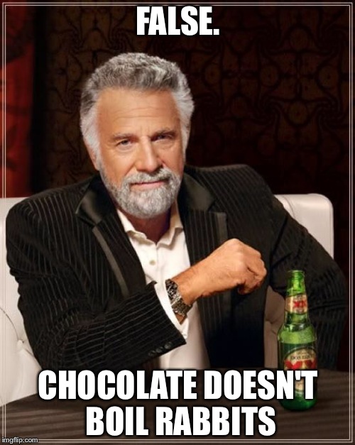 The Most Interesting Man In The World Meme | FALSE. CHOCOLATE DOESN'T BOIL RABBITS | image tagged in memes,the most interesting man in the world | made w/ Imgflip meme maker