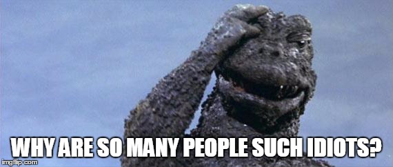 godzilla facepalm | WHY ARE SO MANY PEOPLE SUCH IDIOTS? | image tagged in godzilla facepalm | made w/ Imgflip meme maker