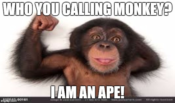 WHO YOU CALLING MONKEY? I AM AN APE! | made w/ Imgflip meme maker