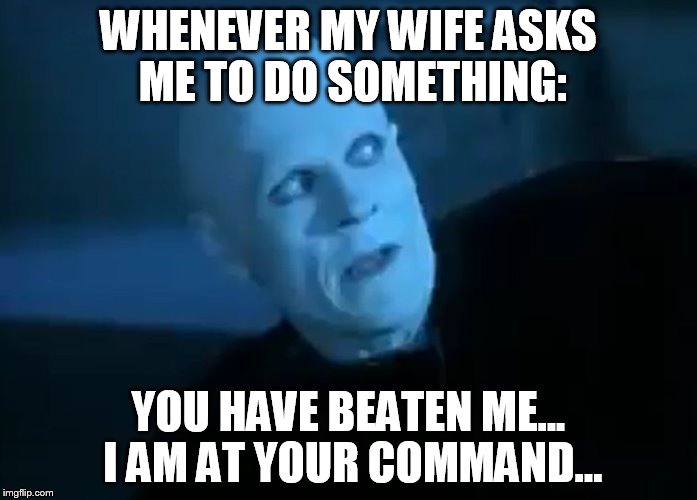 WHENEVER MY WIFE ASKS ME TO DO SOMETHING:; YOU HAVE BEATEN ME... I AM AT YOUR COMMAND... | image tagged in bill  ted's death defeat | made w/ Imgflip meme maker